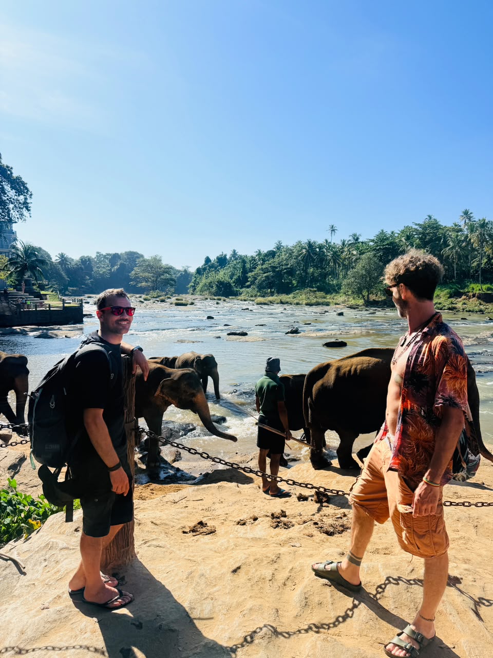 Travellers visiting Pinnawala Elephant Orphanage in Sri Lanka